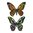Tim Holtz Alterations - Thinlits: Detailed Butterflies (4 Dies)