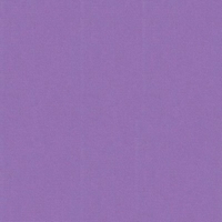 Cardstock mit feiner Leinenprägung: Violett 12x12"