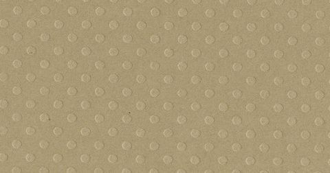 Bazzill - Dotted Swiss Cardstock: Sterling 12x12"