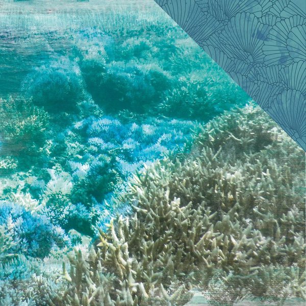 Kaisercraft - Deep Sea: Barrier Reef Paper 12"x12"
