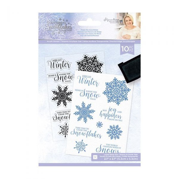 Crafter´s Companion - Glittering Snowflakes: Stamp Set - Chase the Snowflakes