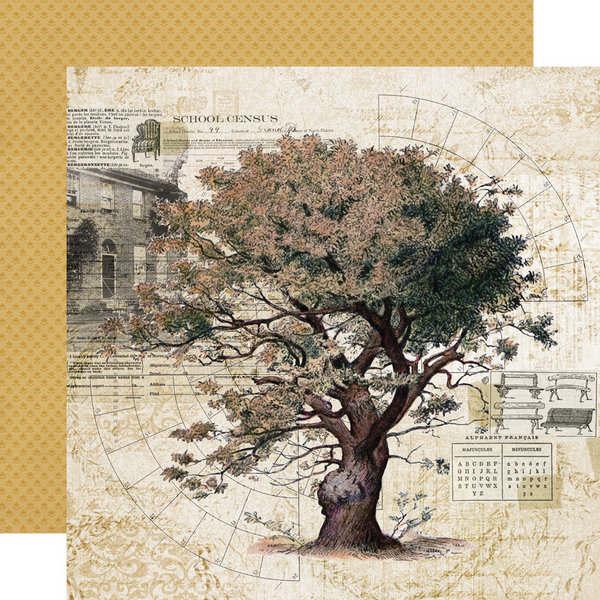 Simple Stories - Simple Vintage Ancestry: Family Tree Paper 12"x12"