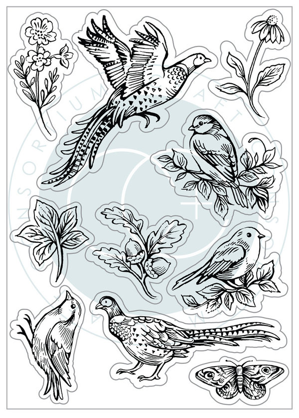 Craft Consortium - Woodland: Clear Stamps "Woodland Birds"