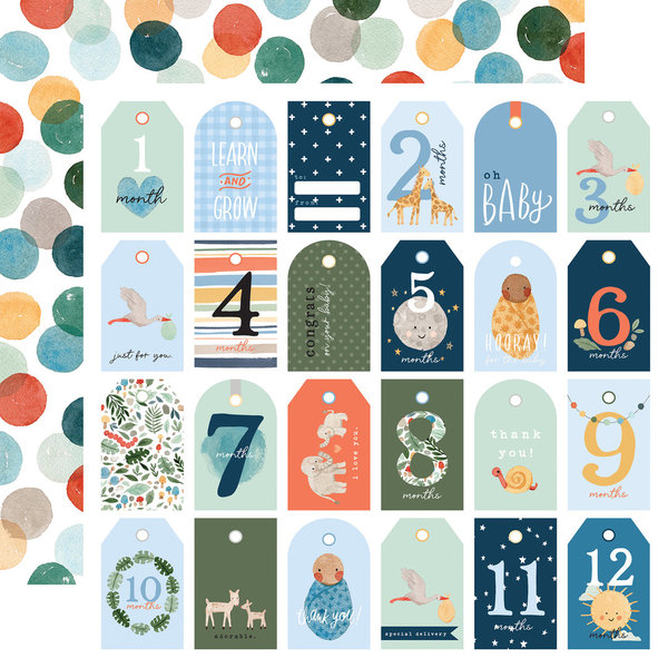 Echo Park - Welcome Baby Boy: Collection Kit 12x12"