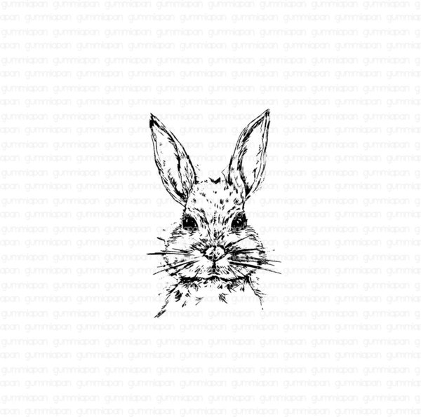 Gummiapan - Stempel: Skizziertes Kaninchen (unmontiert)